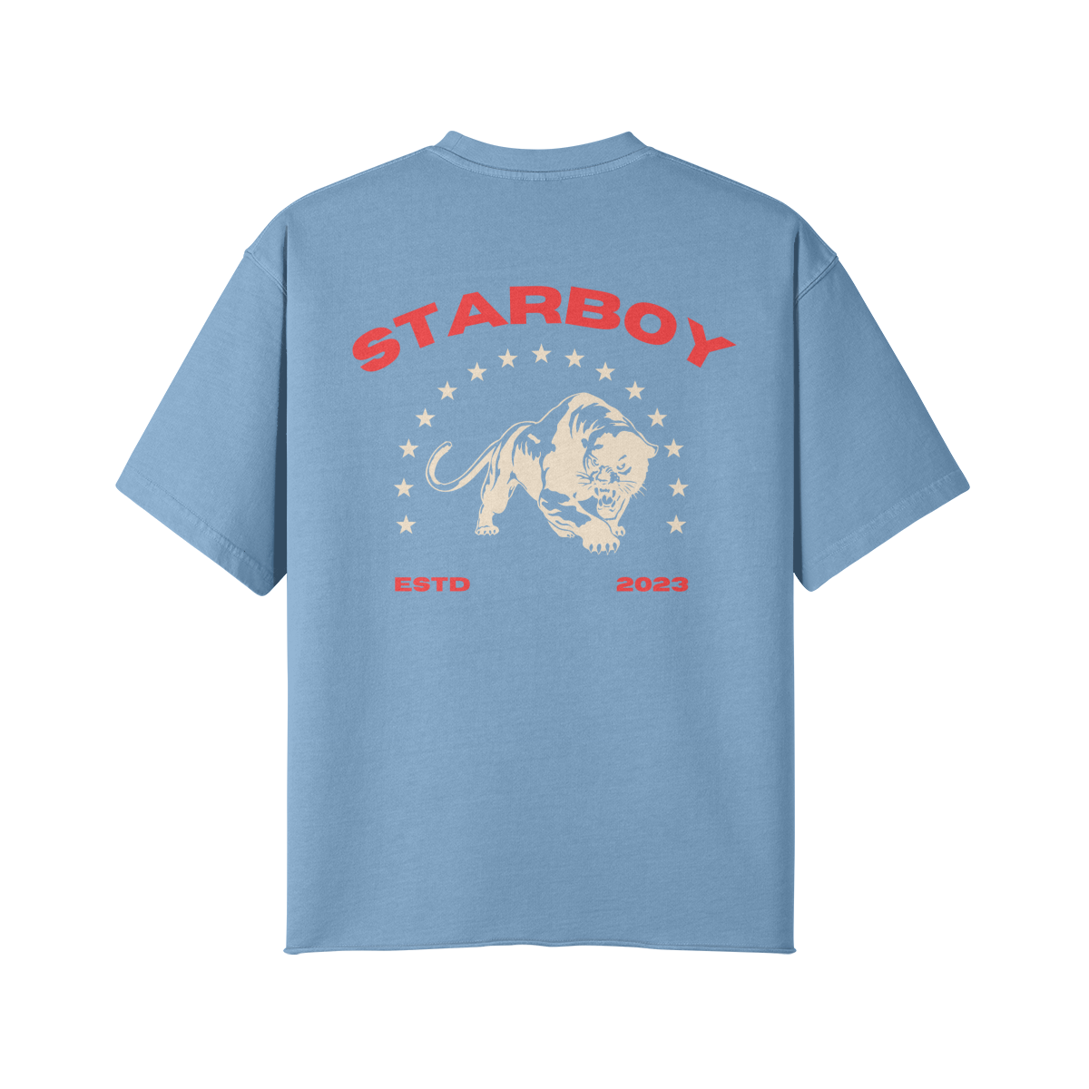 Organic Starboy Premium T-Shirt-5
