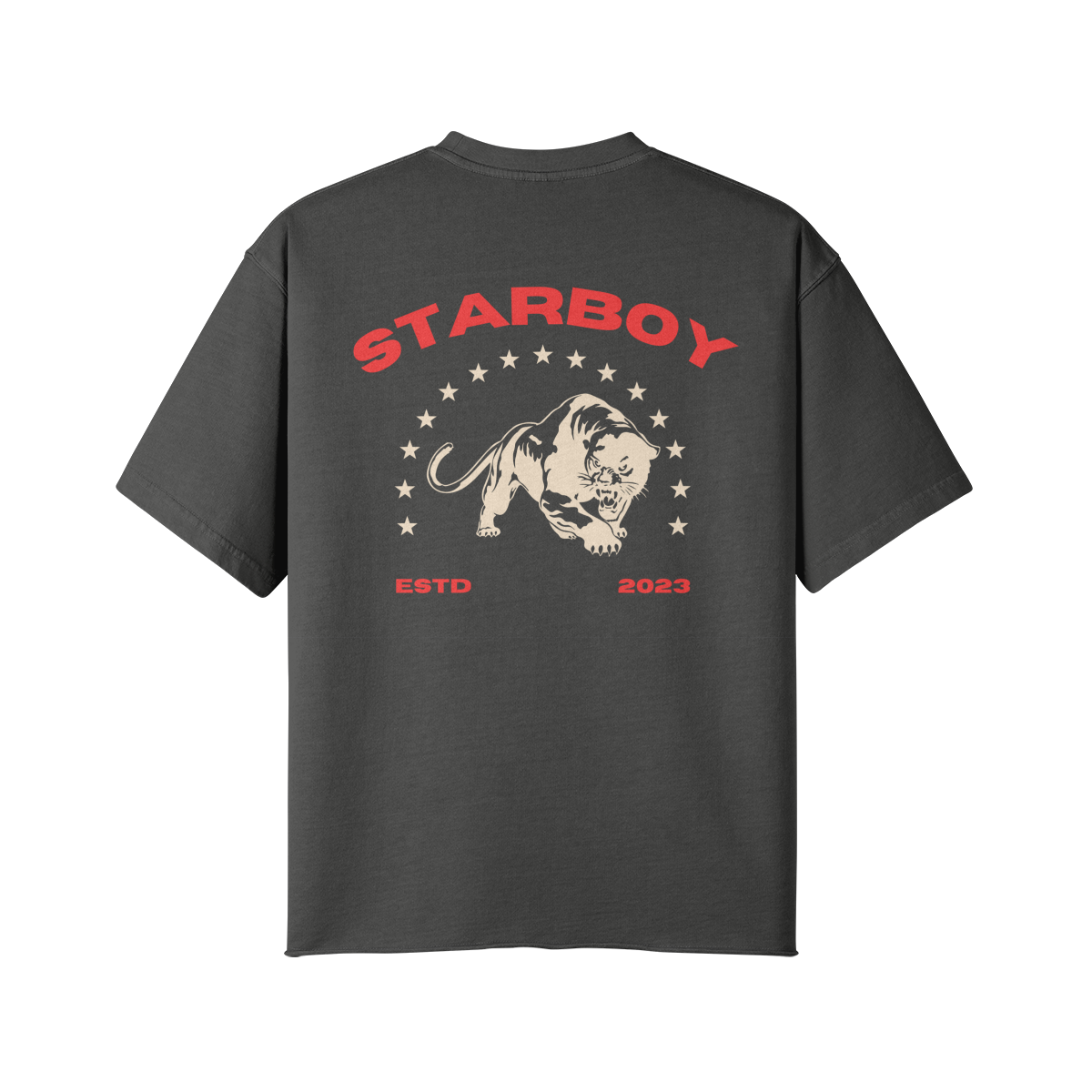 Organic Starboy Premium T-Shirt-3