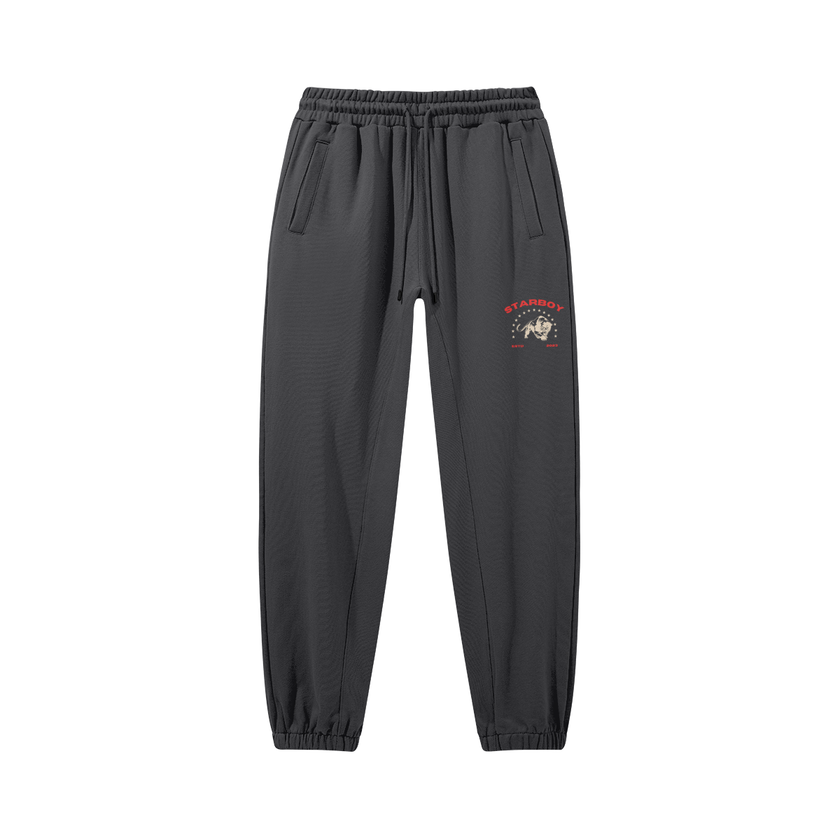 Organic Starboy Premium Joggers-5