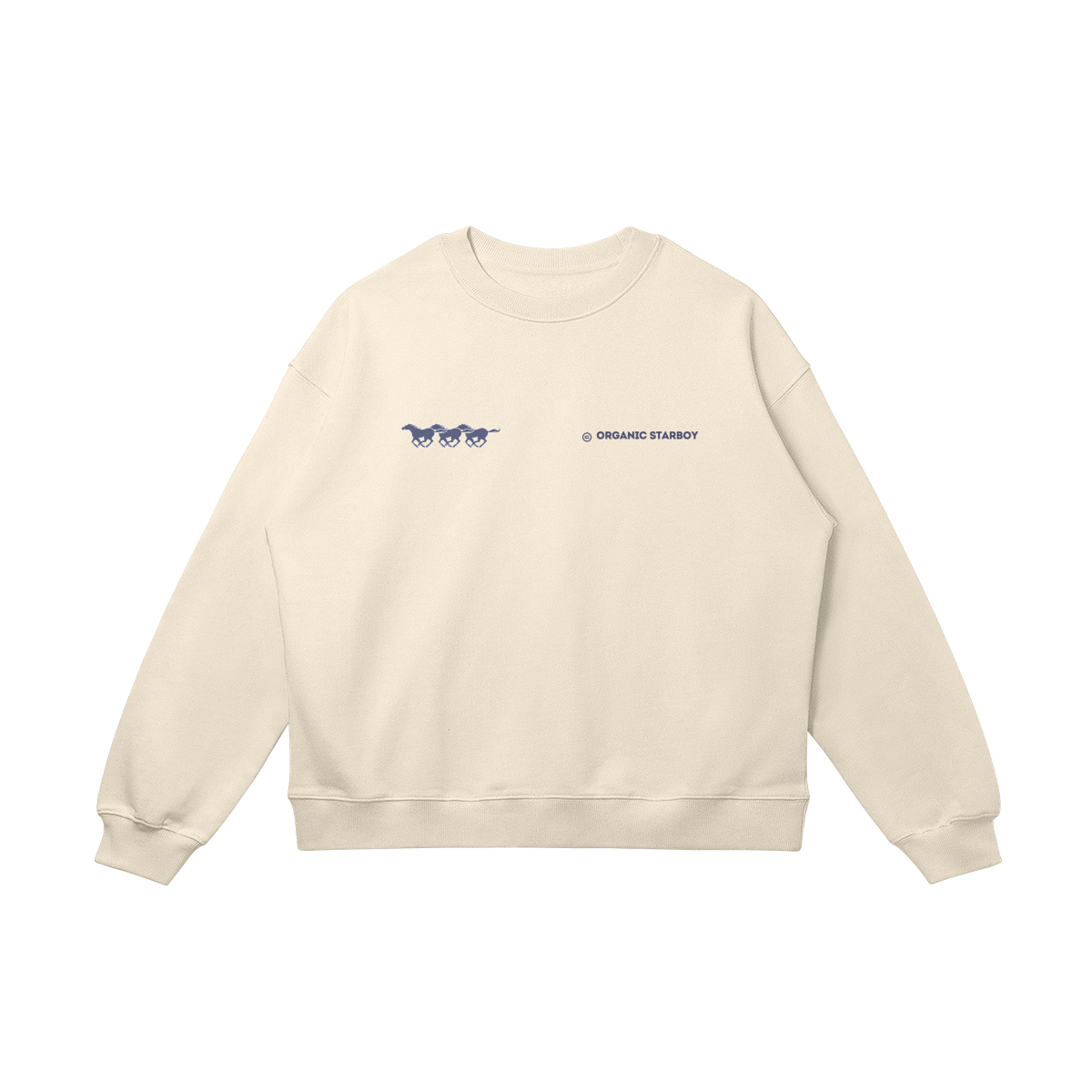 Fast Pace Sweatshirt-6