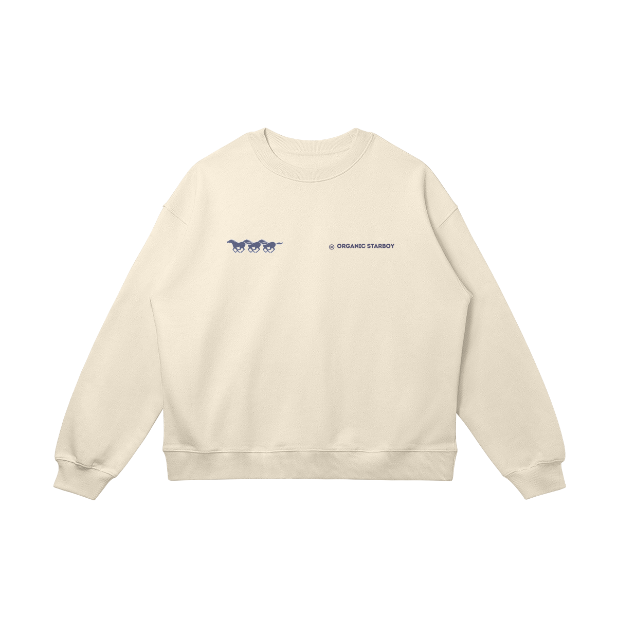 Fast Pace Sweatshirt