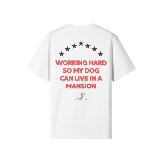 0-YFL-Back Side