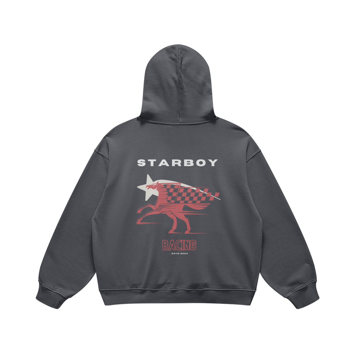 Organic Starboy Racing Hoodie-5