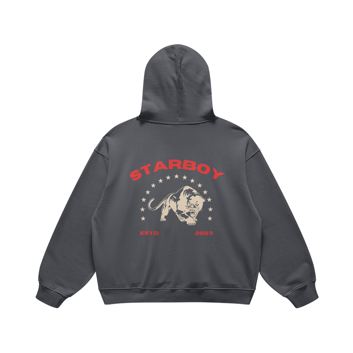 Organic Starboy Premium Hoodie-5