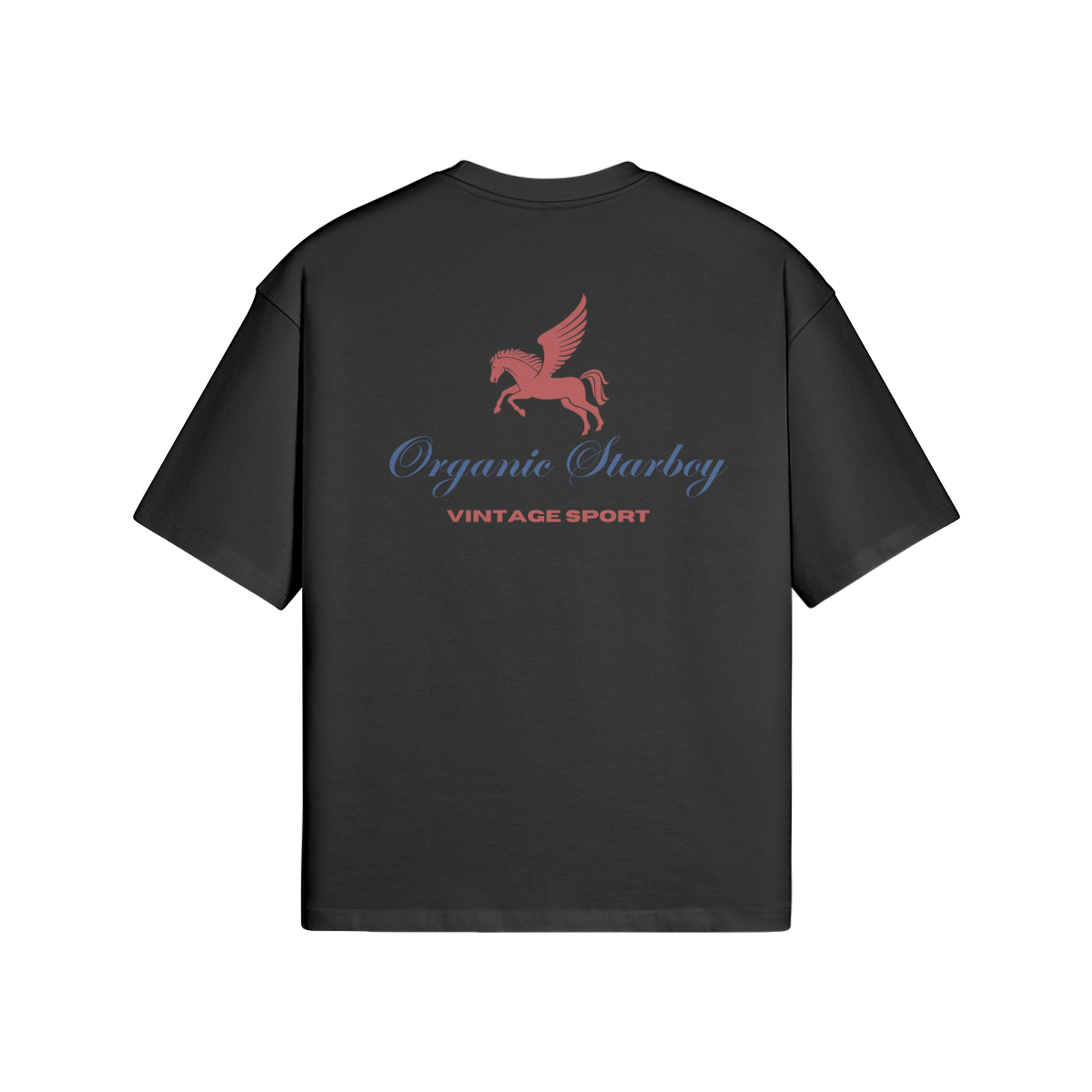 Organic Starboy Vintage Sport T-Shirt